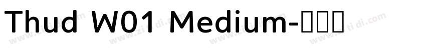 Thud W01 Medium字体转换